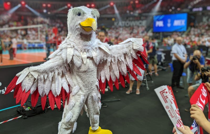 KATOWICE, POLAND - Poland Vs Mexico At Volleyball World Championship - Aug  28, 2022 - Dreamstime