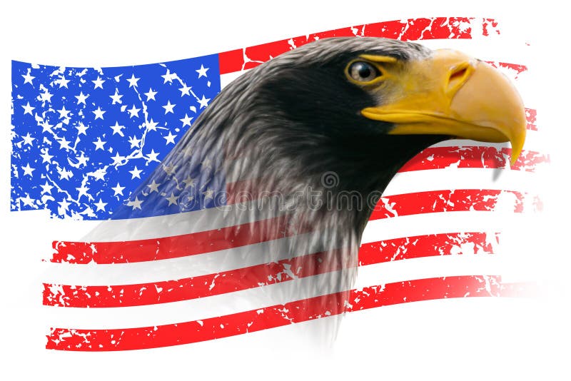 Eagle mit der Schmutz-amerikanischen Flagge lokalisiert lizenzfreies stockbild Eagle mit der Schmutz-amerikanischen Flagge lokalisiert lizenzfreies stockbild