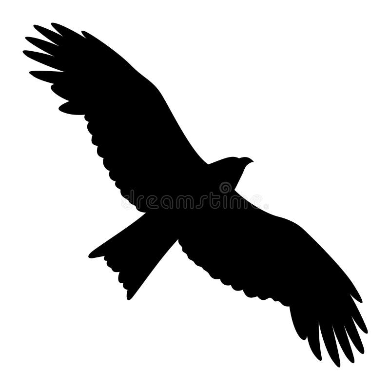 free eagle black and white clipart images