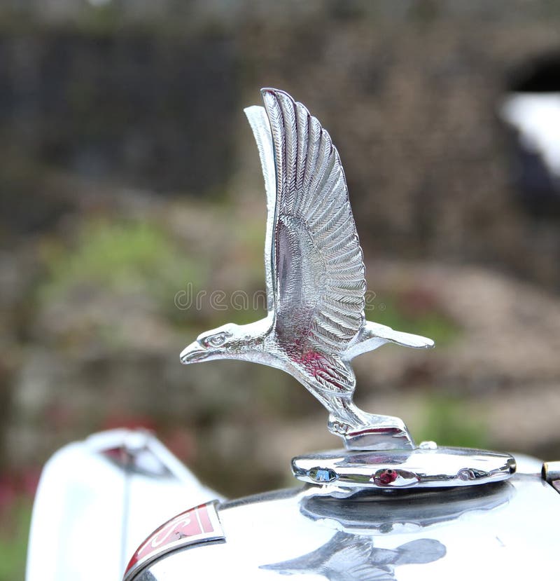 3 620 Classic Car Bonnet Photos Free Royalty Free Stock Photos From Dreamstime