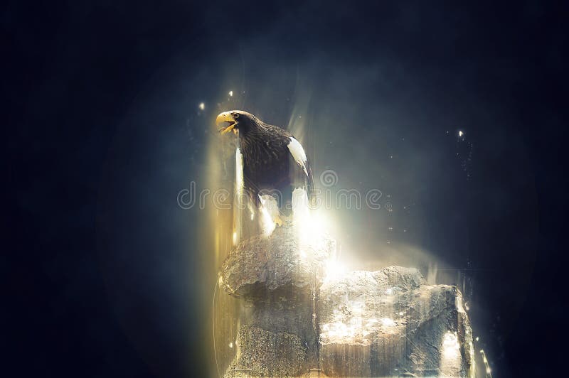 Eagle standing on a rock, abstract animal concept