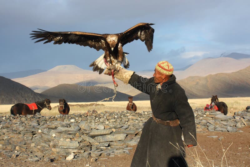 MONGOLIA - 25 July 2011, Old-man eaglehunter with golden eagle in mongolia desert. July 25, 2011, Mongolia - desert. MONGOLIA - 25 July 2011, Old-man eaglehunter with golden eagle in mongolia desert. July 25, 2011, Mongolia - desert