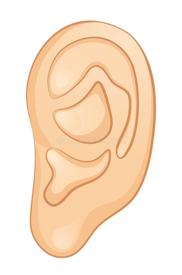 ears open eyeballs click download ears open eyeballs click download
