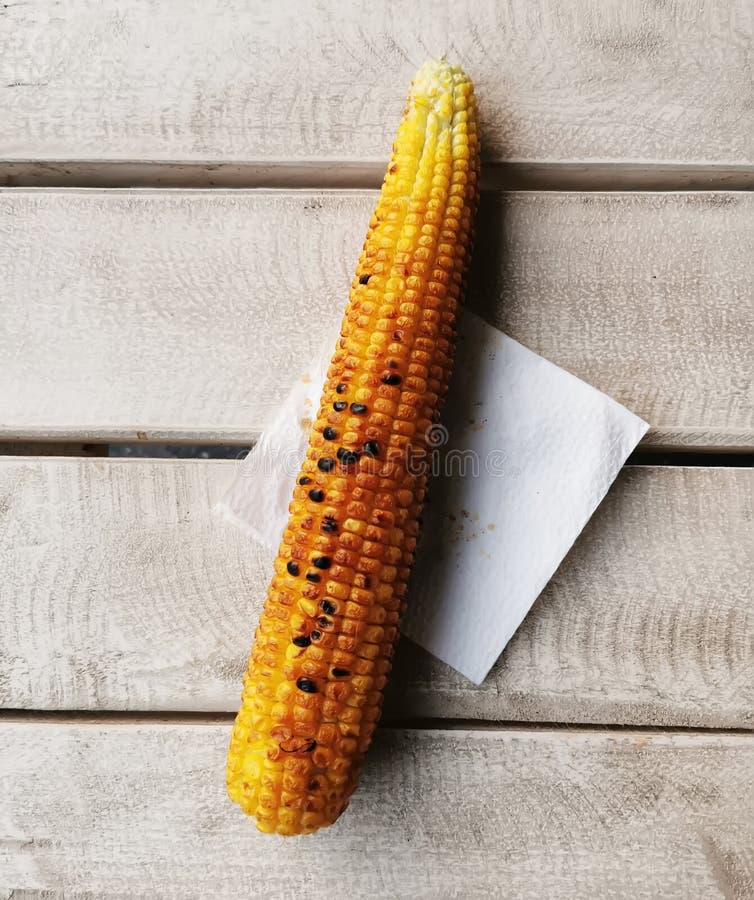 Ear of Boiled Corn on a Table Stock Photo Image of corn, portrait