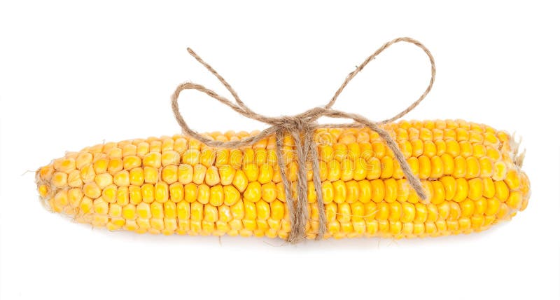 Ear of corn with rope