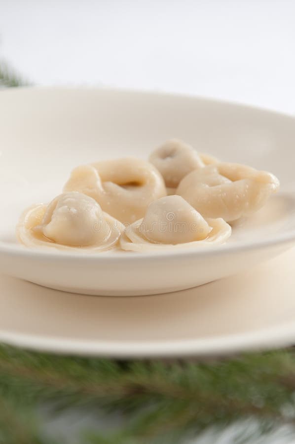 Ear Dumplings stock image. Image of dumpling, meal, plate 22017443