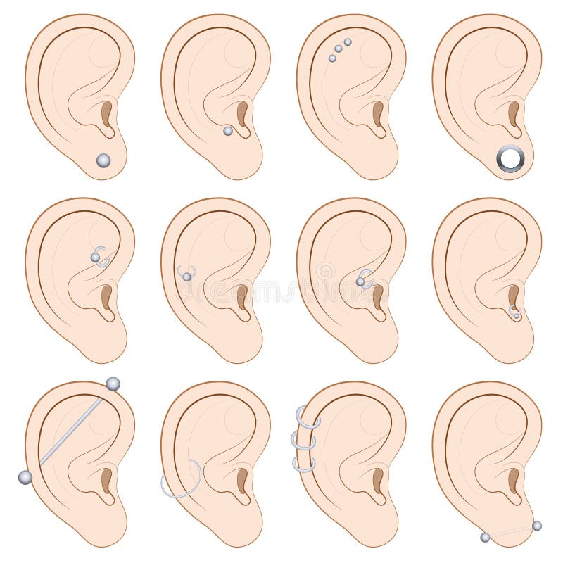 Chart Of Ear Piercings