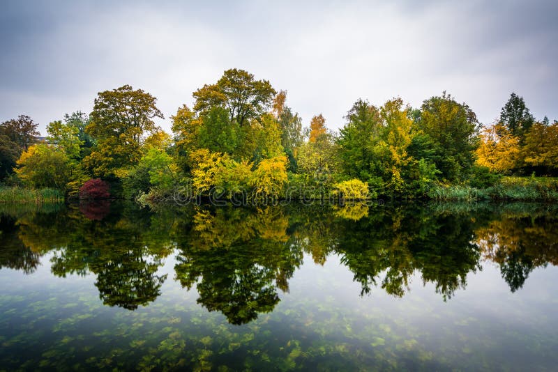 Early autumn color and a lake at Østre Anlæg, in Copenhagen, Denmark. Early autumn color and a lake at Østre Anlæg, in Copenhagen, Denmark.