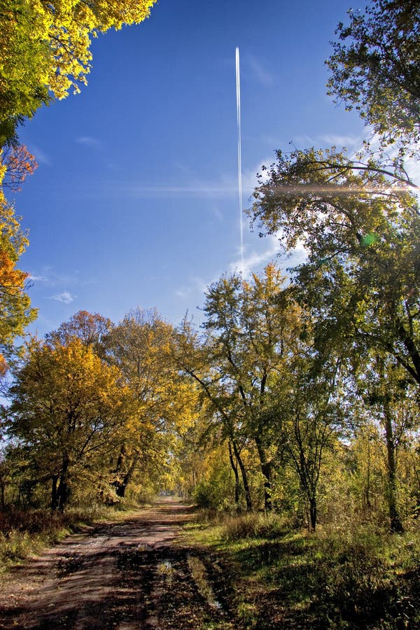 Early autumn view of a forest and a road royalty free stock photography Early autumn view of a forest and a road royalty free stock photography
