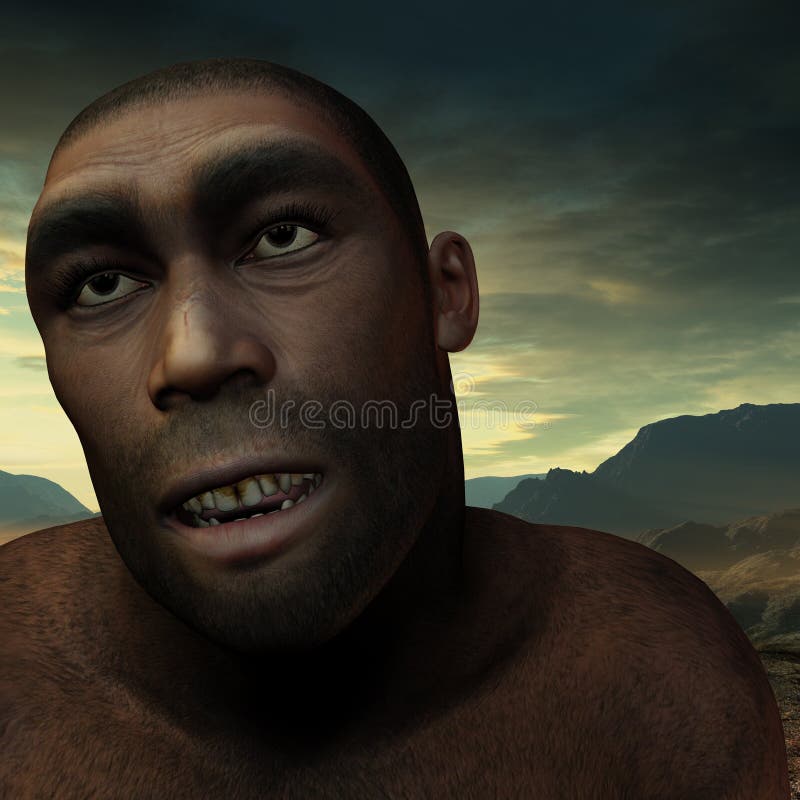 Early humans erectus