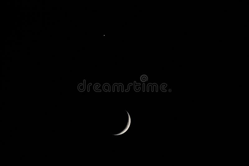 SMALL EARLY VIEW visual data 8