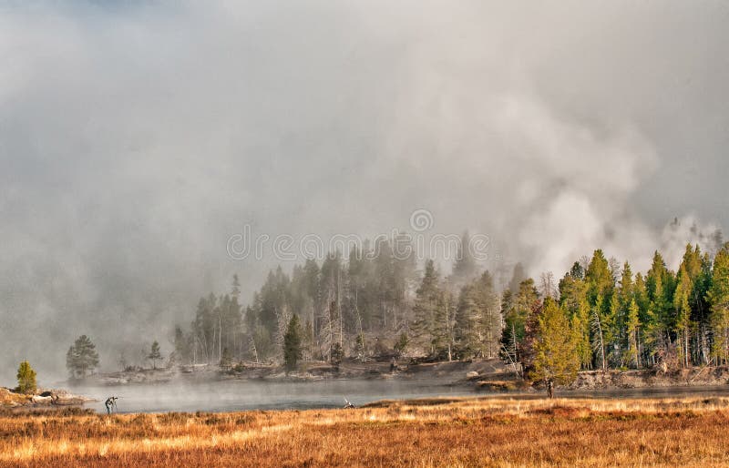 Early Morning Capture stock images