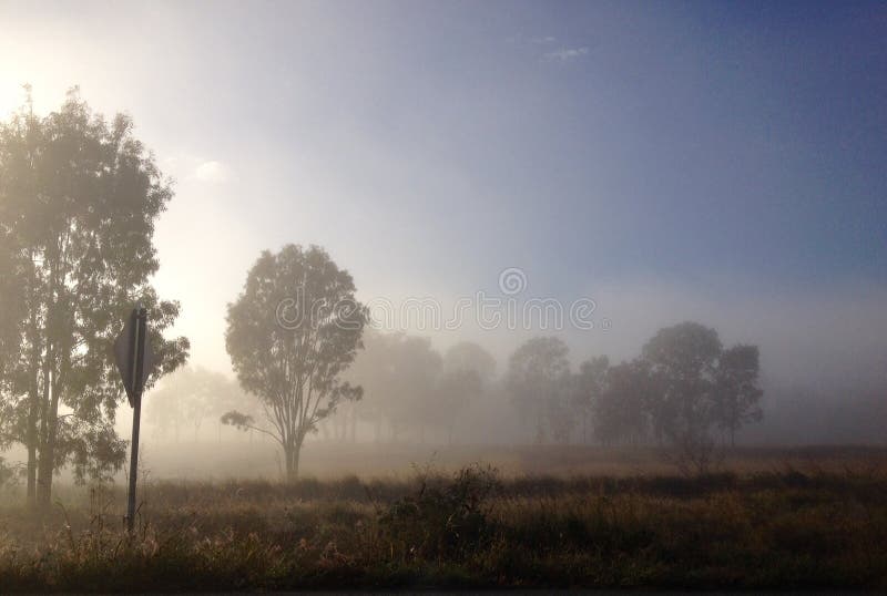 Early morning fog covering Australian rural outback landscape royalty free stock photo Early morning fog covering Australian rural outback landscape royalty free stock photo