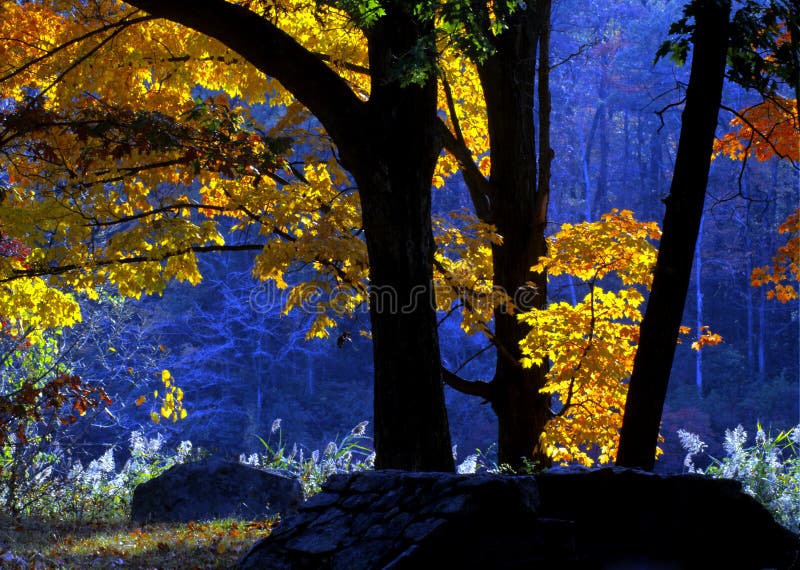 Early morning light royalty free stock photo Early morning light royalty free stock photo