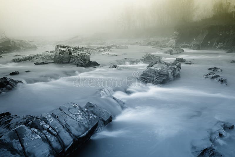 Early morning on the river