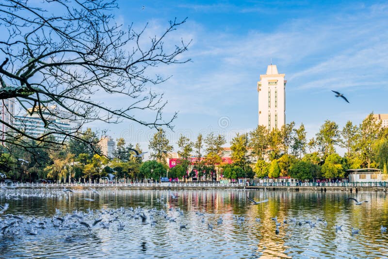 Early morning scenery of Cuihu Park in Kunming, Yunnan, China stock images Early morning scenery of Cuihu Park in Kunming, Yunnan, China stock images