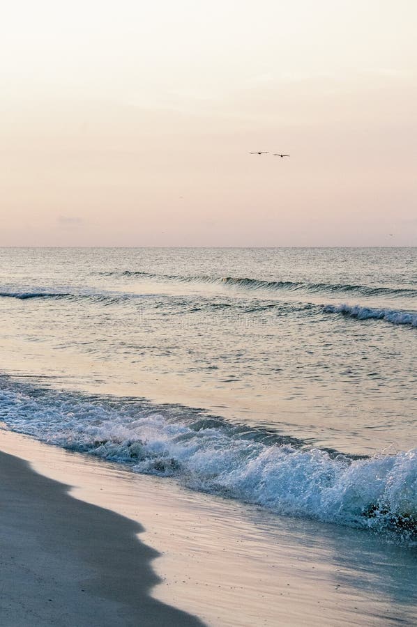 Early Morning Tide with Seabirds Overhead royalty free stock photos