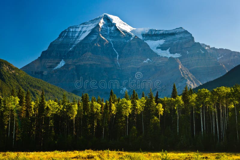 Early morning view of Mount Robson royalty free stock photography