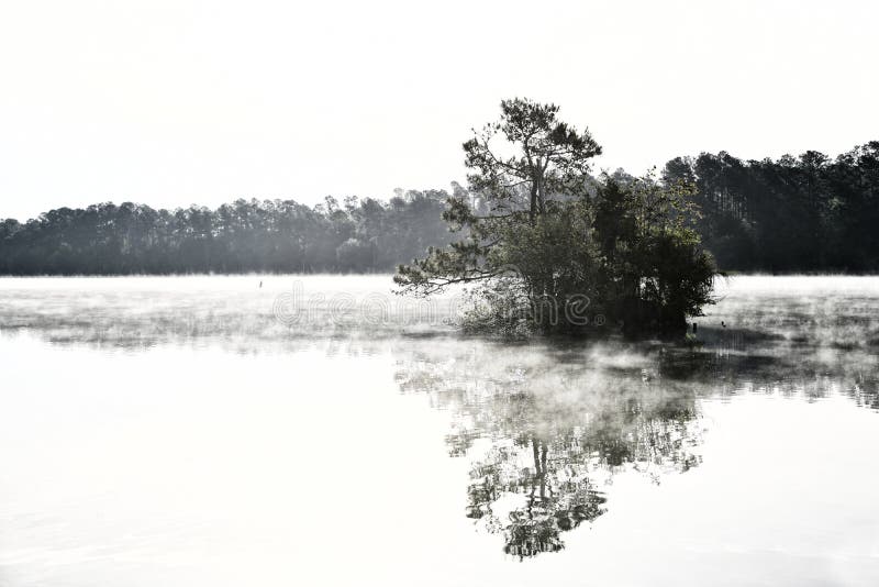 Early Morning Fog on Lake