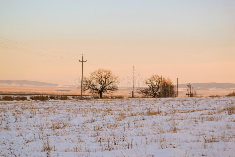 Early spring, bare trees, snowy fields of nature, horizon royalty free stock photo Early spring, bare trees, snowy fields of nature, horizon royalty free stock photo