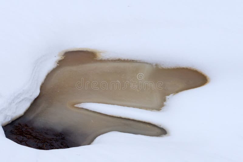 Early spring landscape of the snow in the forest. Melt water in a spring stream on a sunny day in the forest . stock image Early spring landscape of the snow in the forest. Melt water in a spring stream on a sunny day in the forest . stock image