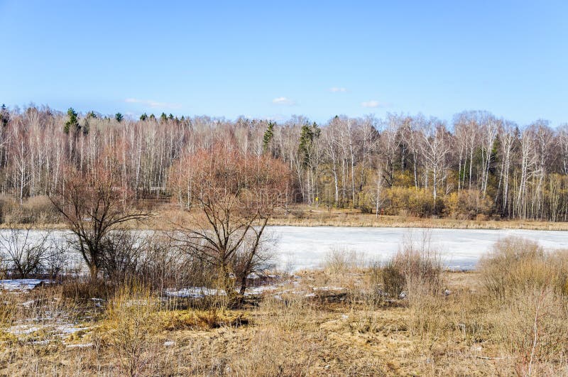 Early spring. The pond is covered with ice. Landscape