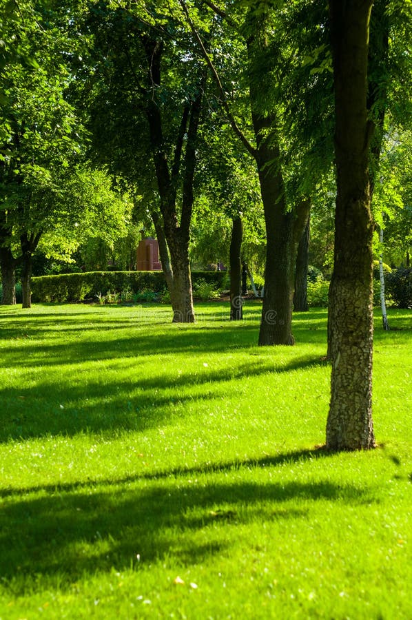 Early Summer Landscape Old Park Trees Bushes Green Grass Bright