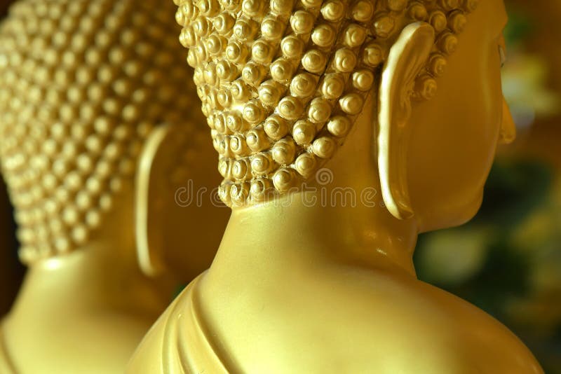 Buddha ears stock image. Image of pray, peaceful, asian 60299953