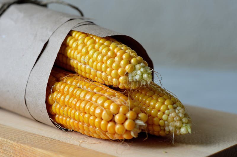 Ears of fresh corn stock image. Image of commodity, fresh 77405109