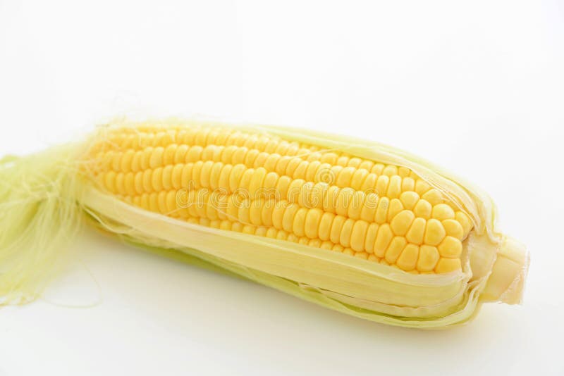 Ears of sweet corn stock photo. Image of nutrient, kitchen 115799950