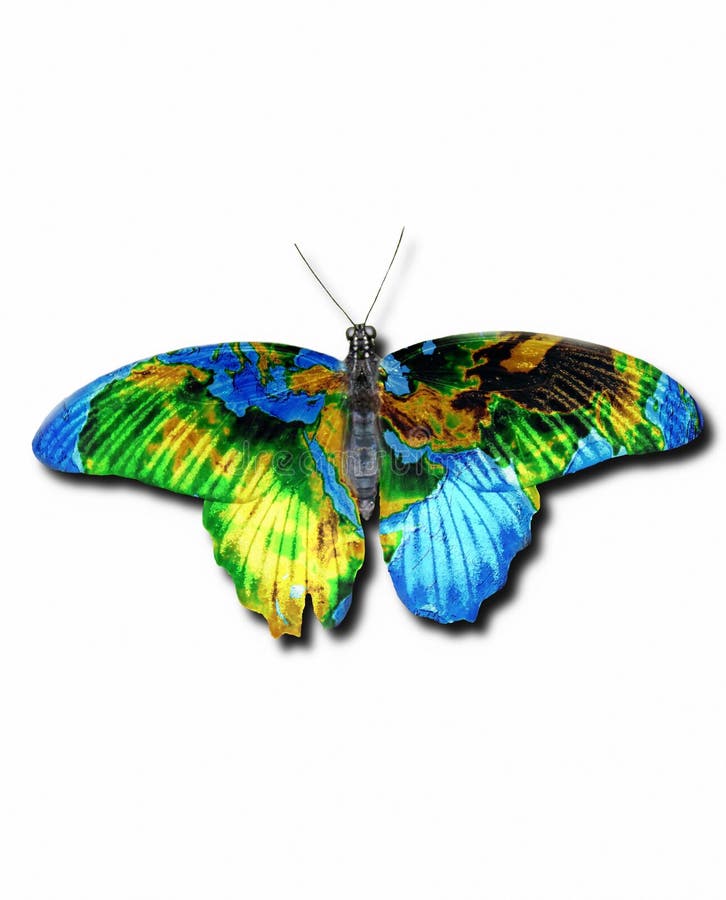 Earth butterfly