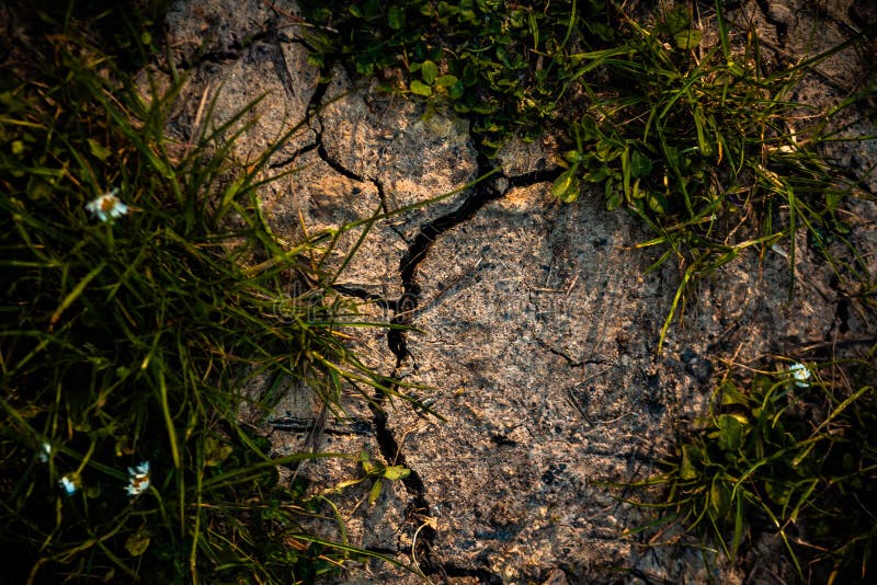 The Earth is Cracking. Dirty Dirt Cracking Soil Drought Stock Image
