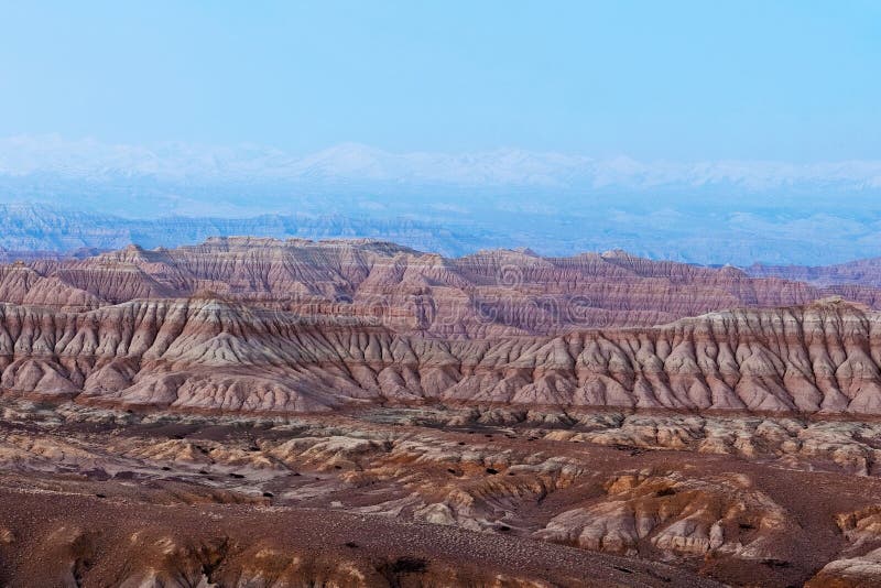 Earth Forest National Geopark in Zanda County, Tibet