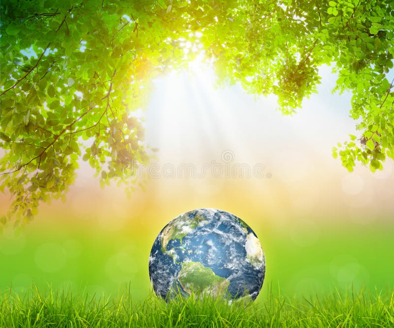 Earth on Fresh spring green grass with green leaf