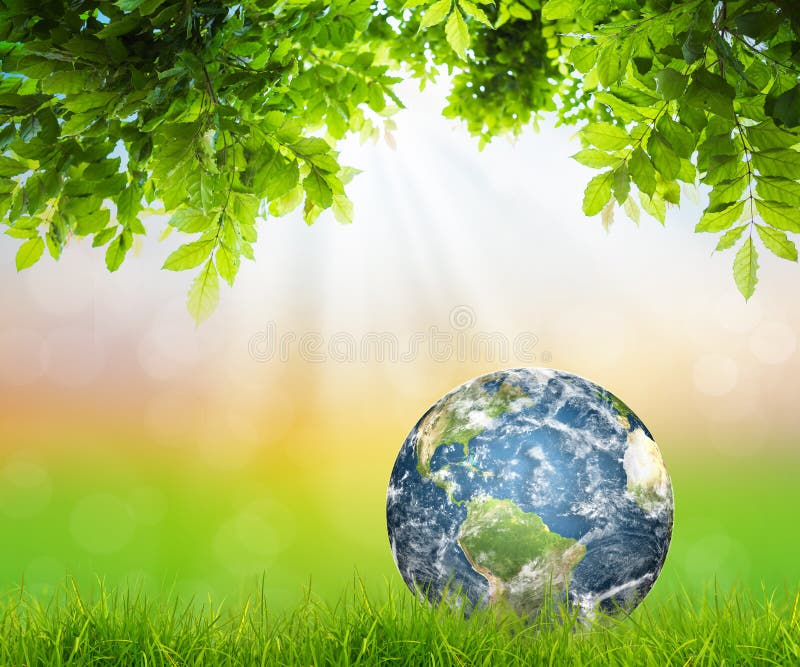 Earth on Fresh spring green grass with green leaf stock photos Earth on Fresh spring green grass with green leaf stock photos