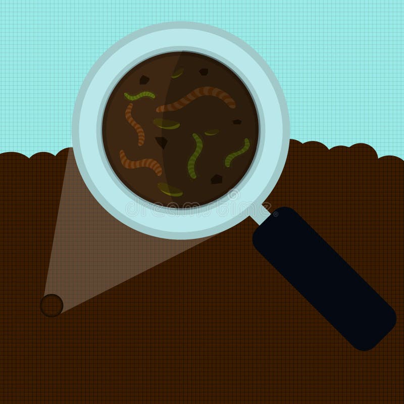 Earthworms soil analysis