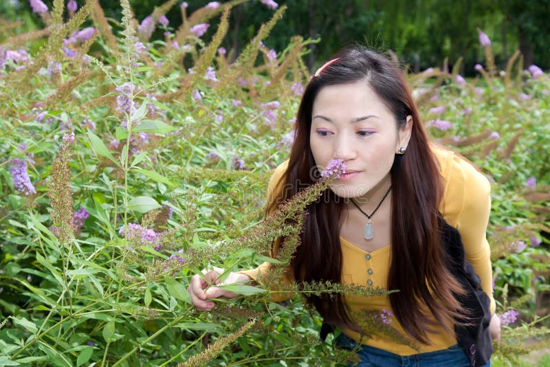 Pretty Country Girl Picking Flowers Stock Photos Download 132 Royalt Pretty Country Girl Picking Flowers Stock Photos Download 132 Royalt