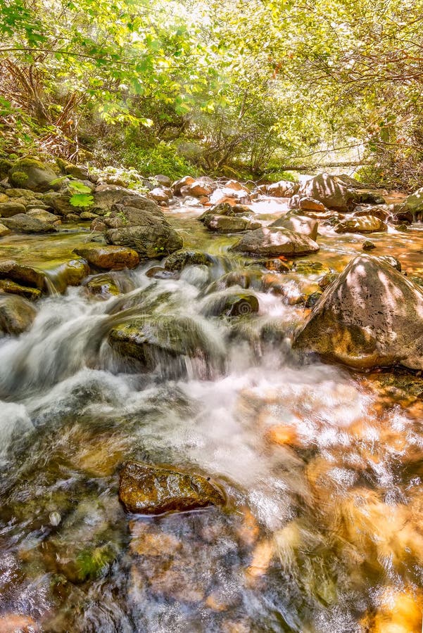 East Fork of the River stock photo. Image of natural 96349290
