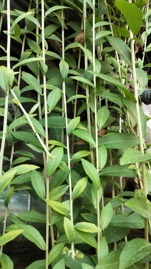 kameraeast-stock-photos-free-royalty-free-stock-photos-from-dreamstime