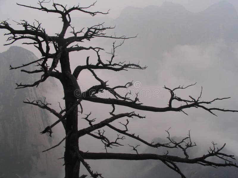 117 Mount Hua Shan Stock Photos - Free & Royalty-Free Stock Photos from