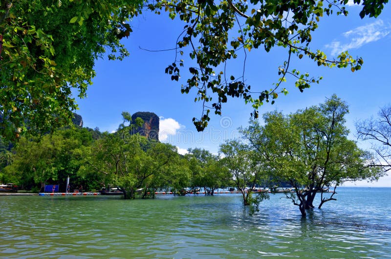 East Railay Beach at Hight Tide Editorial Stock Image Image of east