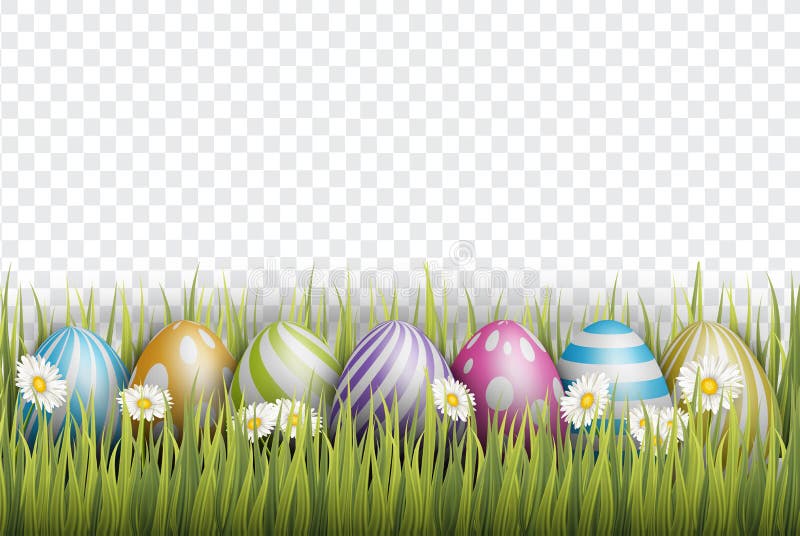 Easter background with realistic 3d colorful eggs, and daisy flowers on transparent backdrop