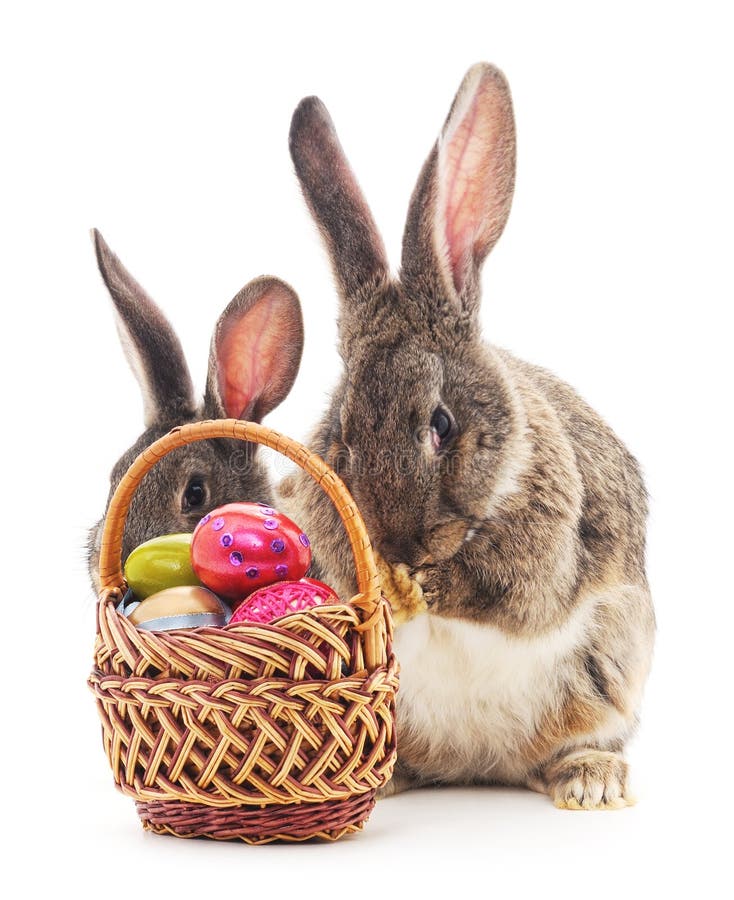 Easter basket and bunny. stock image. Image of holiday 110525507