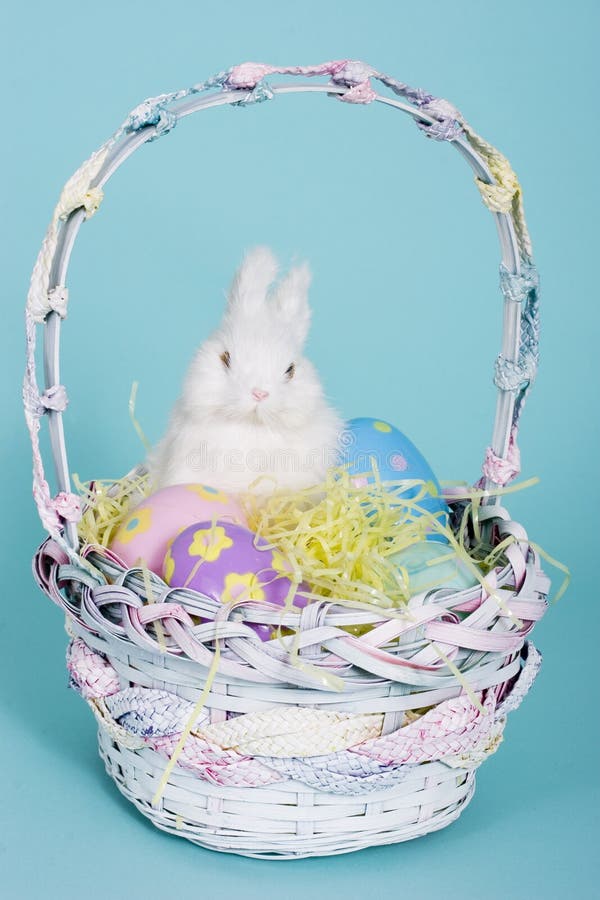 Easter bunny stock photo. Image of bunnies, time, cuddly 1946946