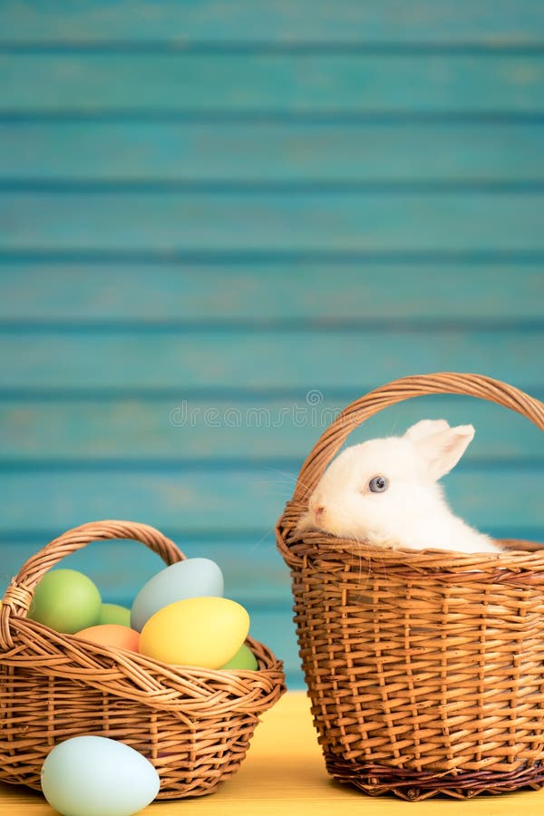 Easter Bunny and Basket of Eggs Stock Photo Image of beautiful
