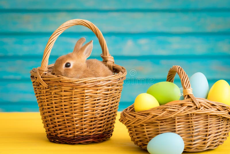 Easter Bunny and Basket of Eggs Stock Photo Image of background