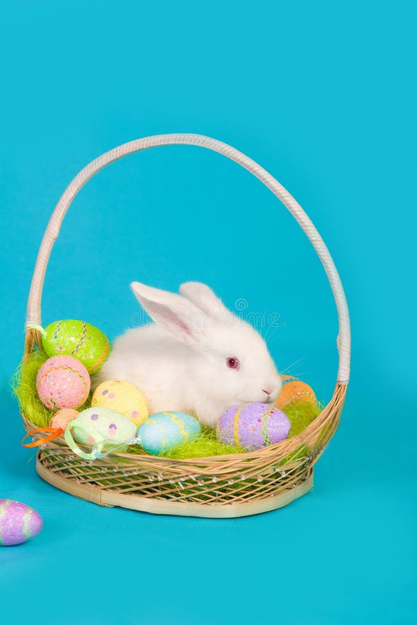 Easter Bunny with Eggs in Basket Stock Photo Image of holidays