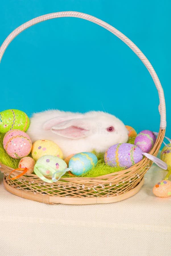 Easter Bunny with Basket and Eggs Stock Image Image of farm, colored