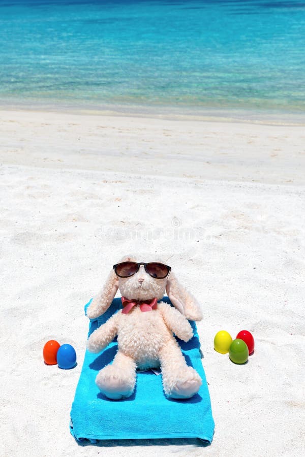 Easter Bunny Lying on a Tropical Beach Stock Photo Image of sandy
