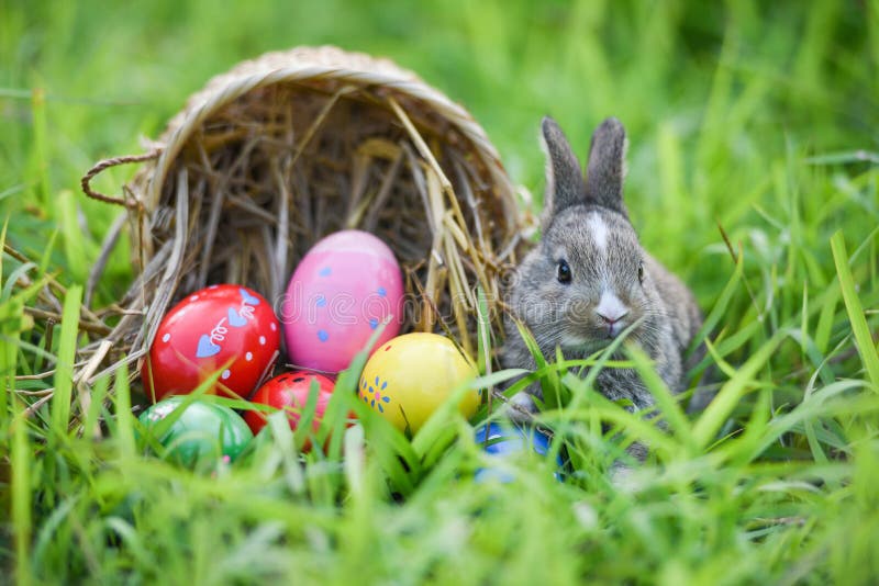 Easter Bunny and Easter Eggs on Green Grass Outdoors Stock Photo ...